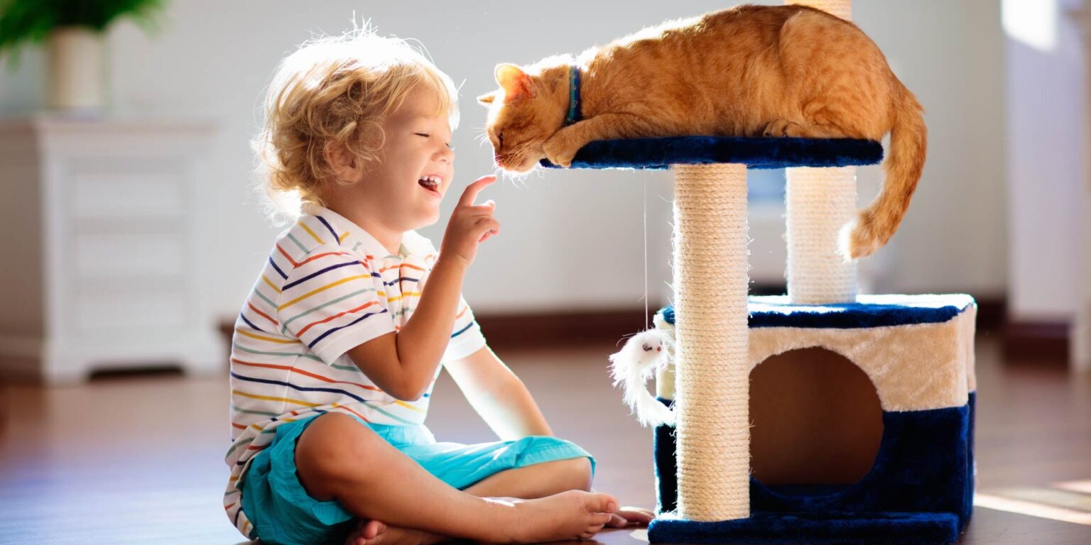 Adozione di gatti nelle famiglie con bambini autistici: uno studio esplorativo