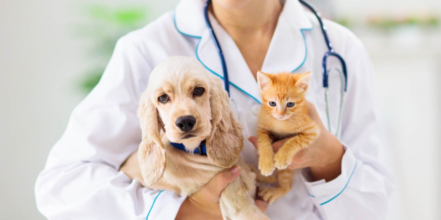 Sostenibilità e Pet Food: le opportunità di intervento e il ruolo chiave dei veterinari