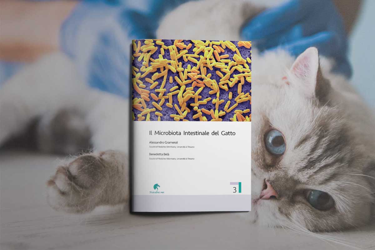 A_Gramenzi_B_Bela_Il-microbiota-intestinale-del-gatto-preview