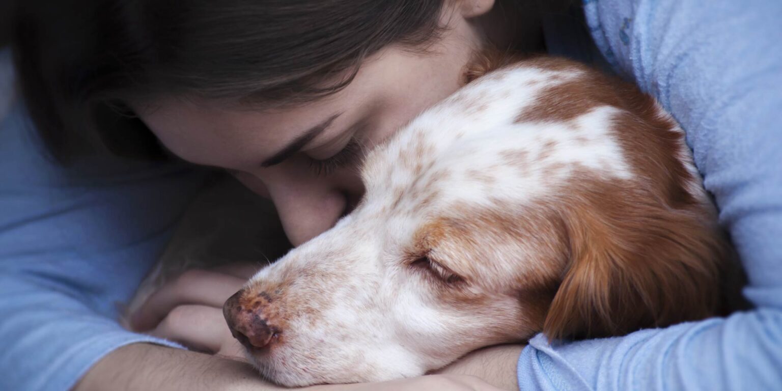 Epilessia idiopatica del cane: le priorità della ricerca secondo diversi punti di vista
