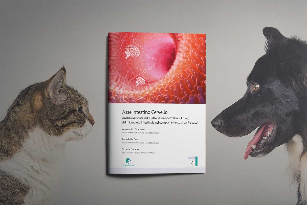 L’asse intestino-cervello del gatto e del cane