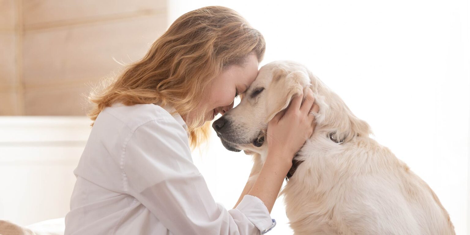 Il cane come fonte di supporto emotivo e sociale per il proprietario