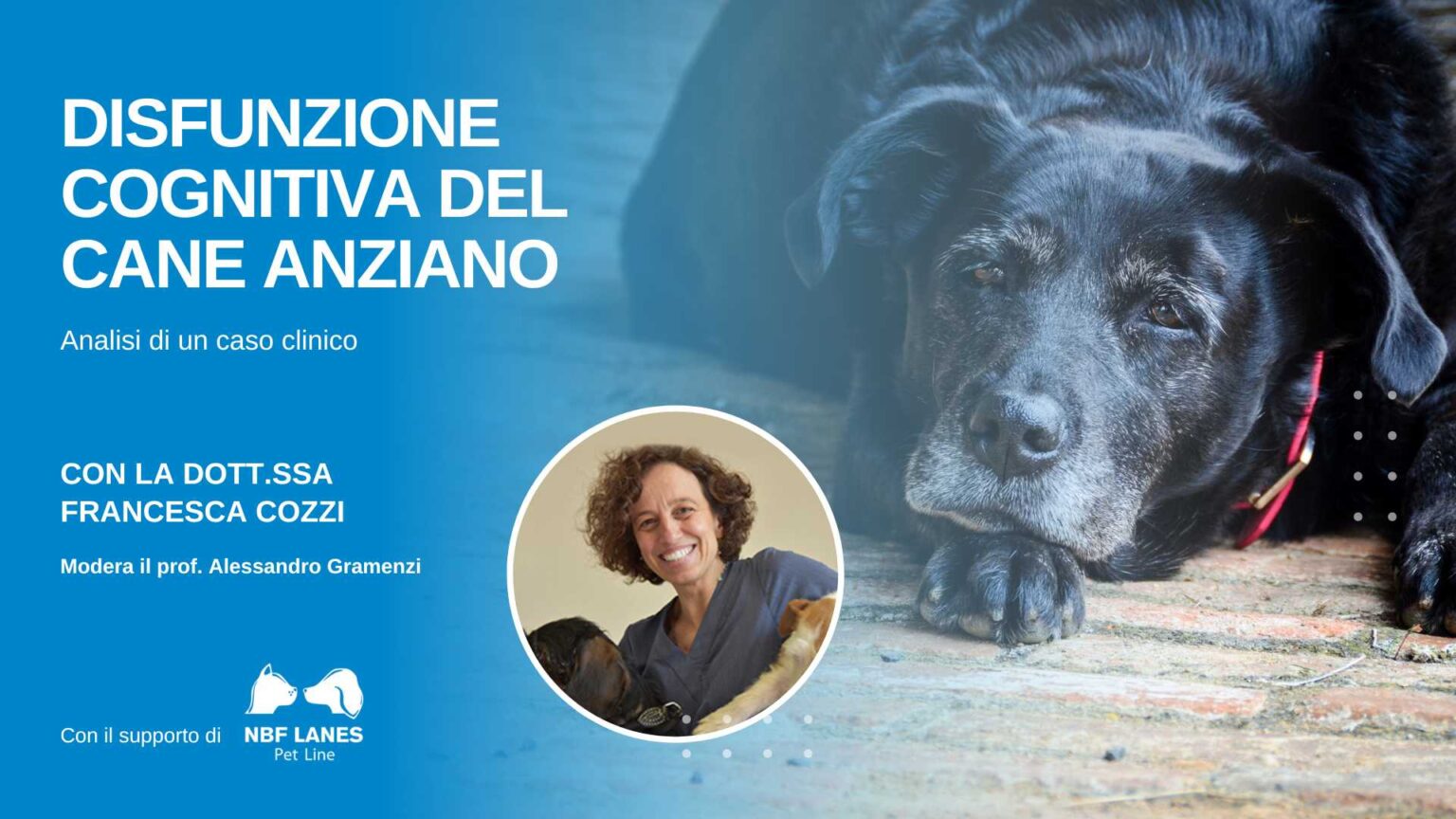 Francesca Cozzi - Disfunzione cognitiva nel cane anziano