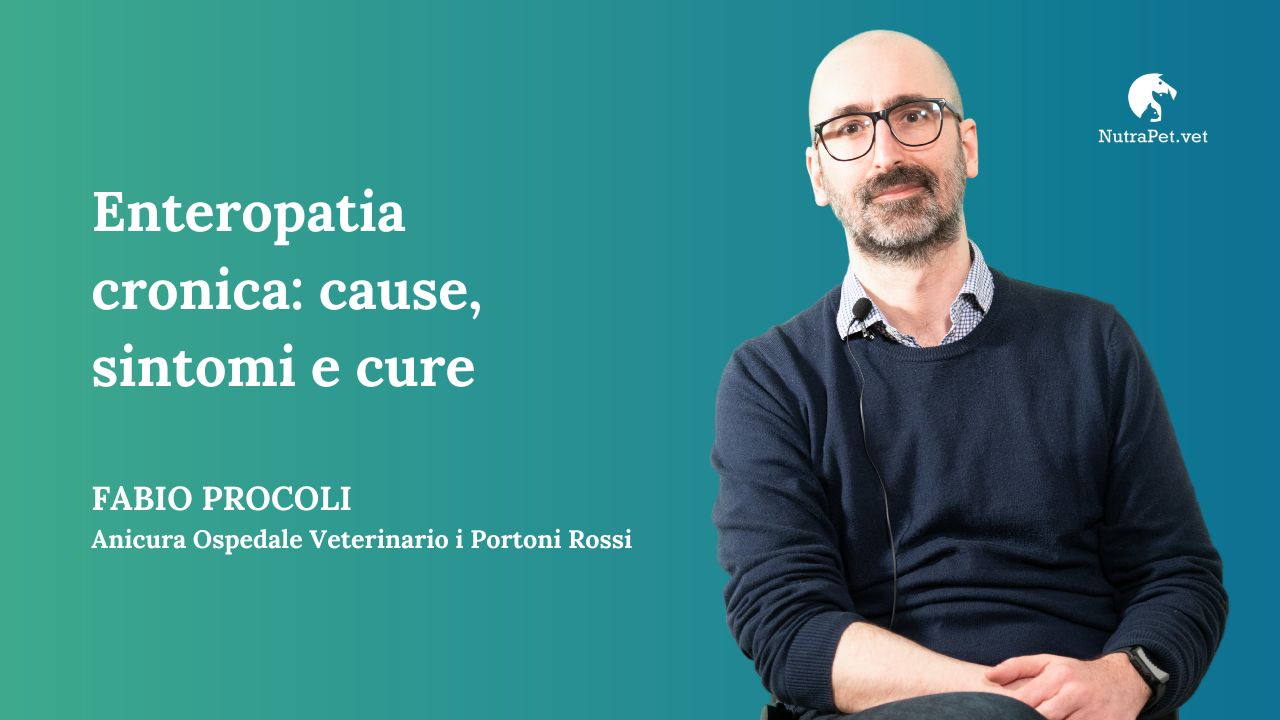 Enteropatia cronica: cause, sintomi e cure, con Fabio Procoli