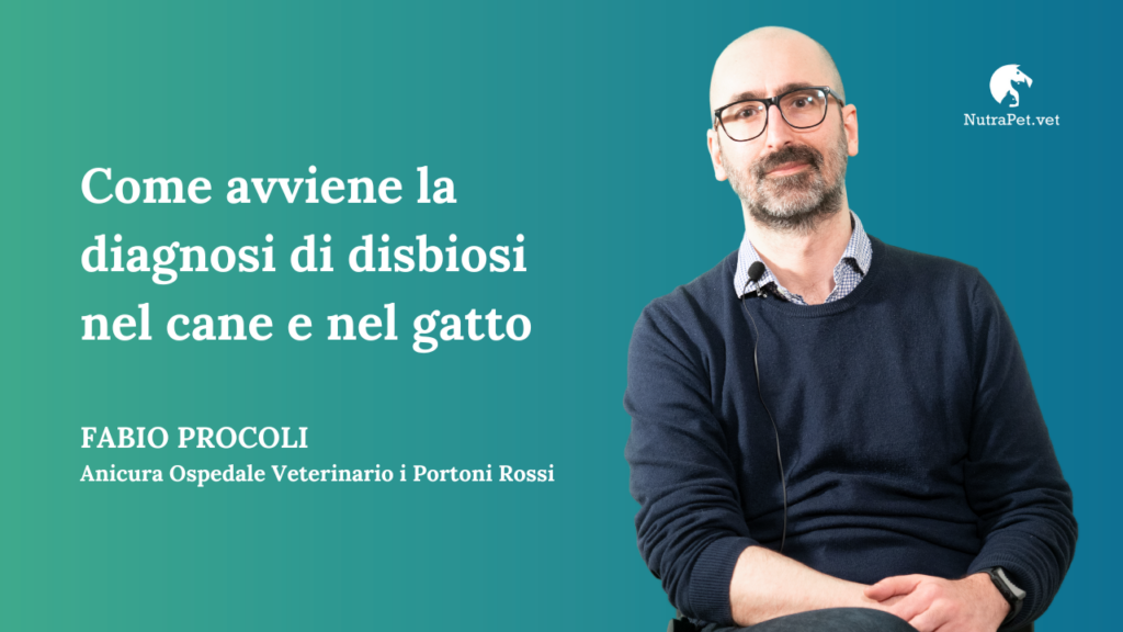 come avviene la diagnosi di disbiosi nel cane e nel gatto