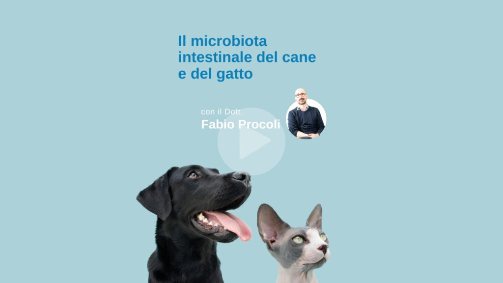 anteprima del video sul microbiota intestinale del cane e del gatto