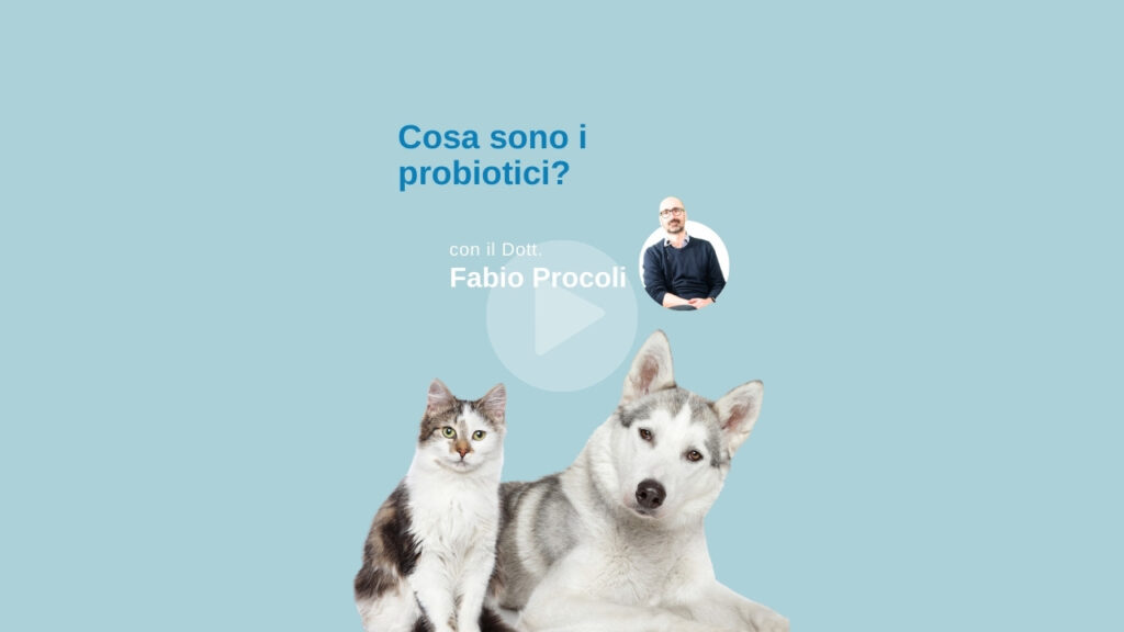 Il Dott. Procoli parla dei probiotici in veterinaria