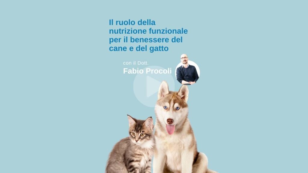 Il dott Procoli parla della nutrizione funzionale in veterinaria