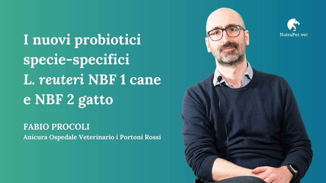 anteprima dell'articolo dedicato ai ceppi nbf