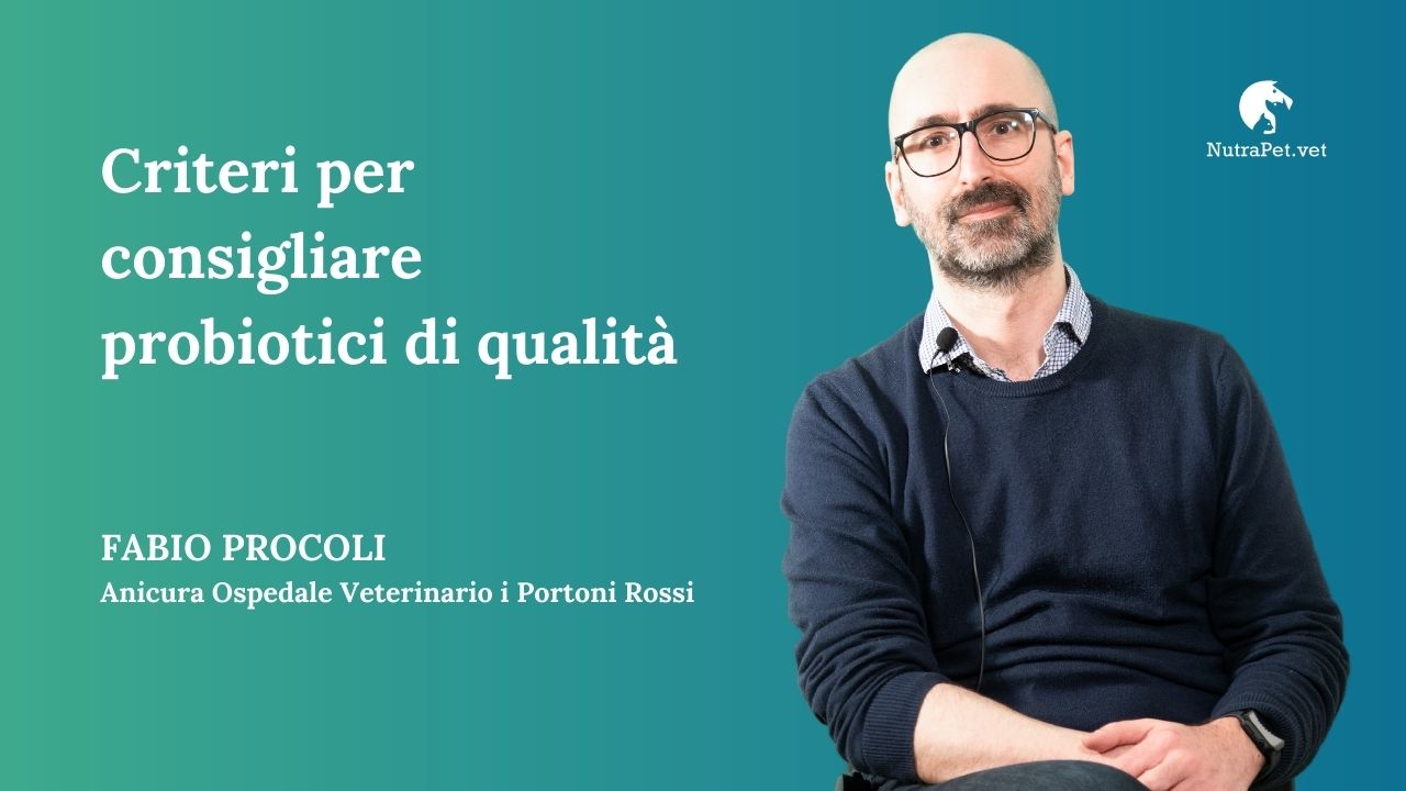 anteprima dell'articolo dedicato ai criteri sui probiotici di qualità