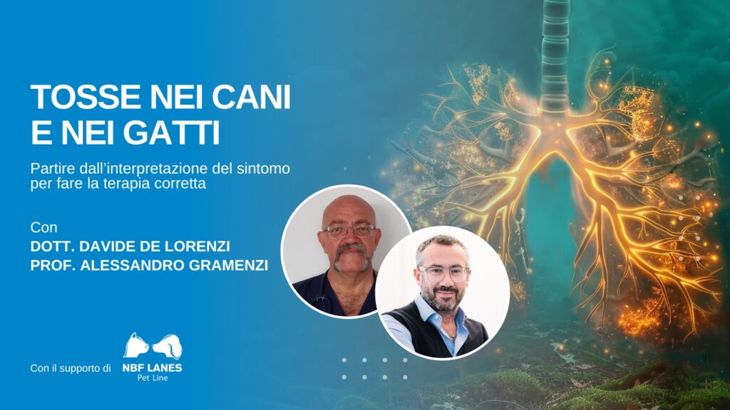 Anteprima Webseminar Tosse cani e gatti Academy NP_2025