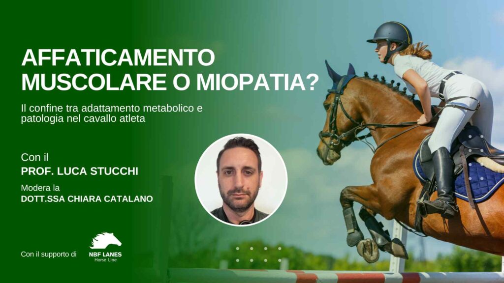 Anteprime Webseminar Academy NP_06_2025_compressed