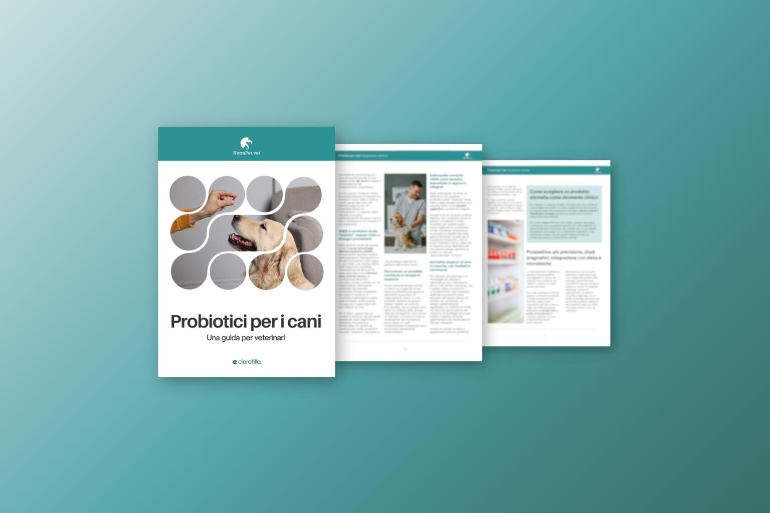 Instant Book - Probiotici per i cani