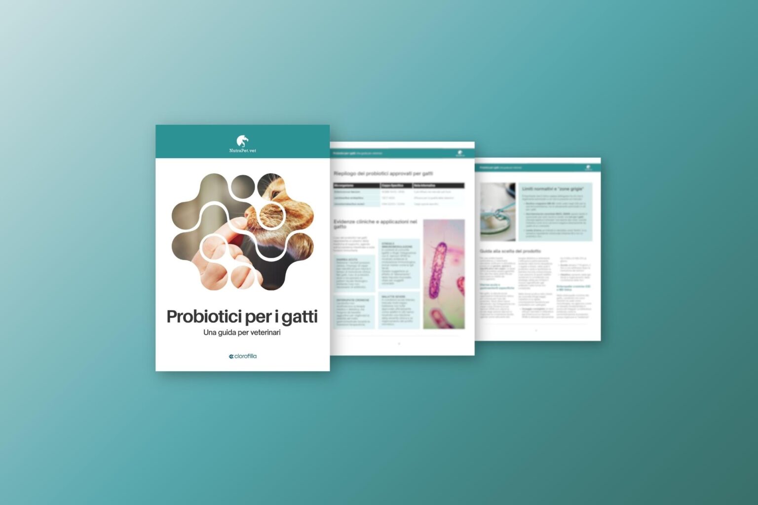 Instant book - Probiotici per i gatti