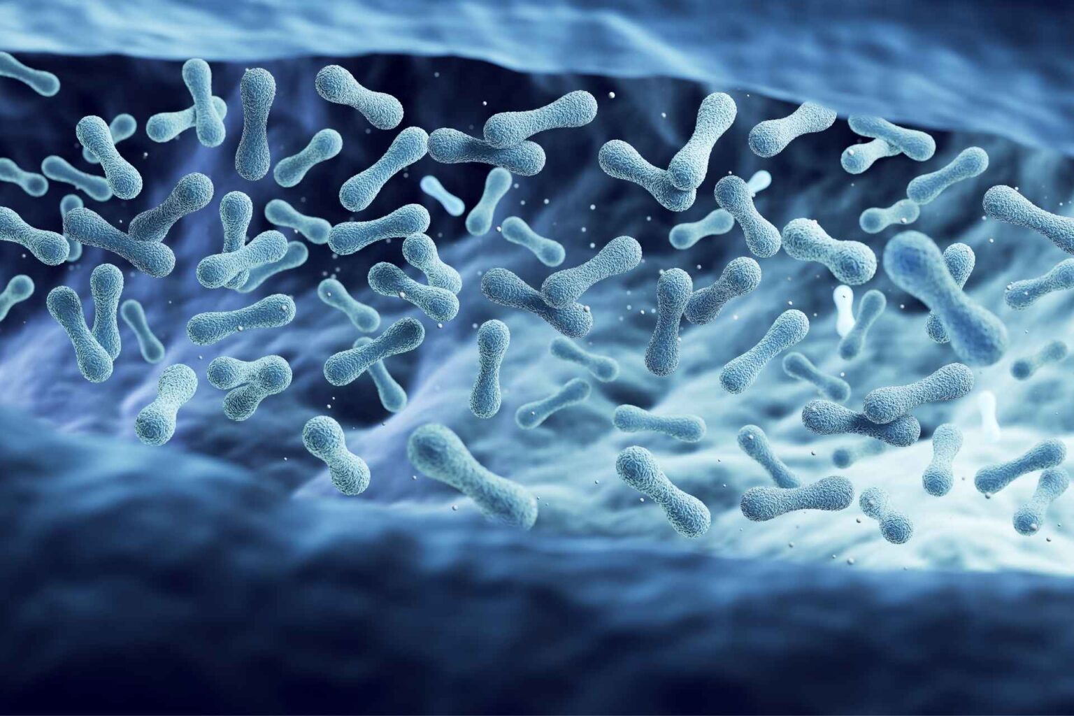 Probiotici “su misura” per cane e gatto due nuovi ceppi host-adapted mostrano attività antimicrobica e immunomodulante