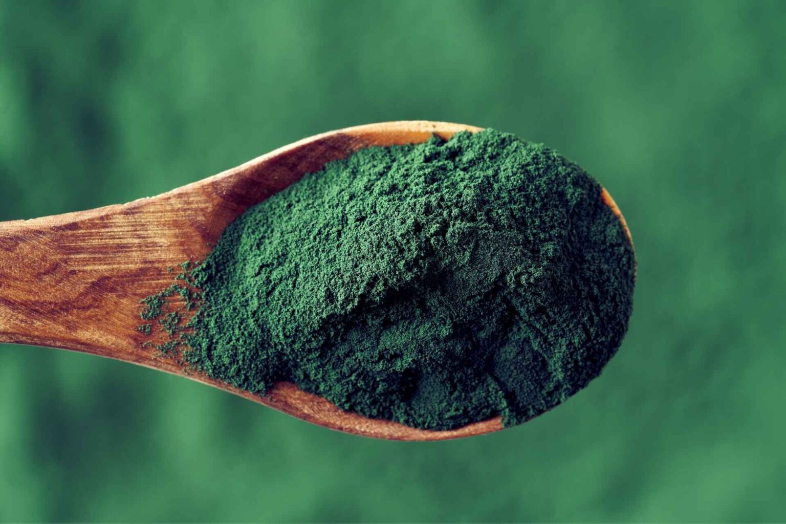 Spirulina nel cavallo possibili effetti sulla risposta infiammatoria dopo esercizio moderato